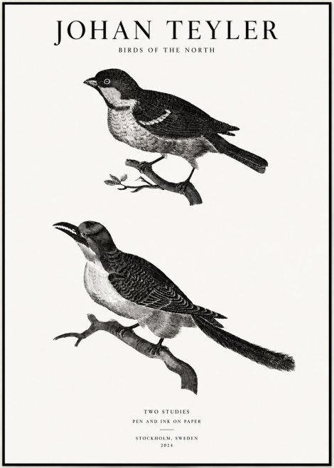 Johan Teyler Two Studies No1 - Póster