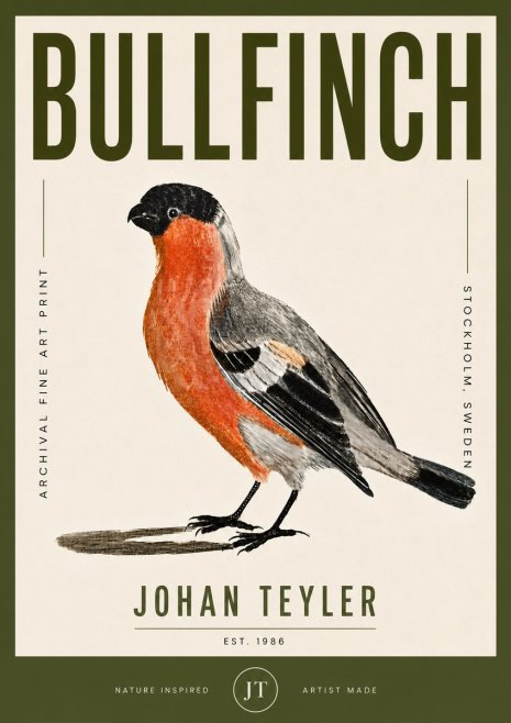 Johan Teyler Bullfinch No5 - Póster
