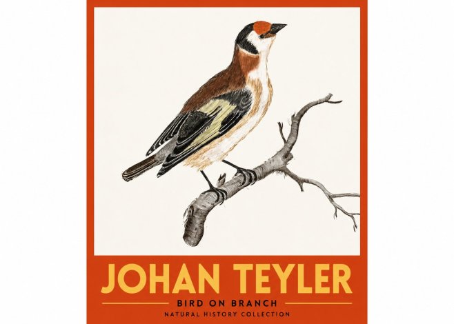 Johan Teyler Song of the Finch No3 - Póster