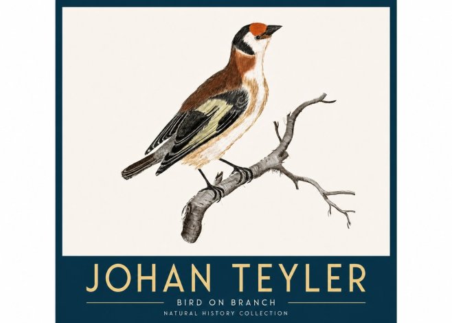 Johan Teyler Song of the Finch No4 - Póster