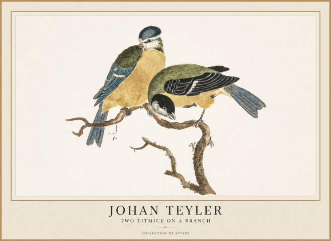 Johan Teyler Two Titmice on a Branch No1 - Póster