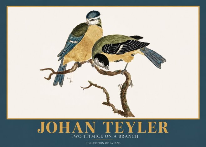 Johan Teyler Two Titmice on a Branch No2 - Póster