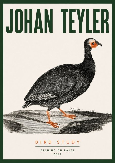 Johan Teyler Bird Study III No3 - Póster