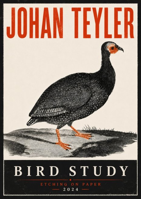 Johan Teyler Bird Study III No6 - Póster