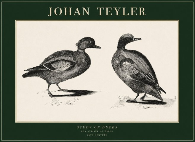 Johan Teyler Study of Ducks No1 - Póster