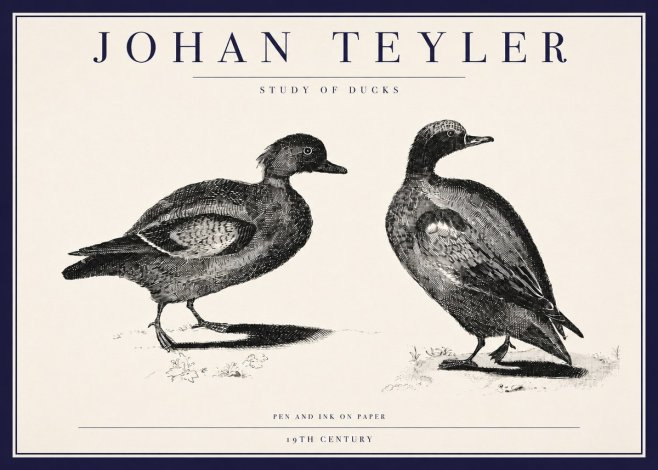 Johan Teyler Study of Ducks No3 - Póster