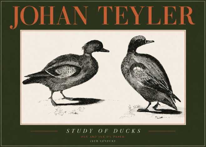 Johan Teyler Study of Ducks No4 - Póster