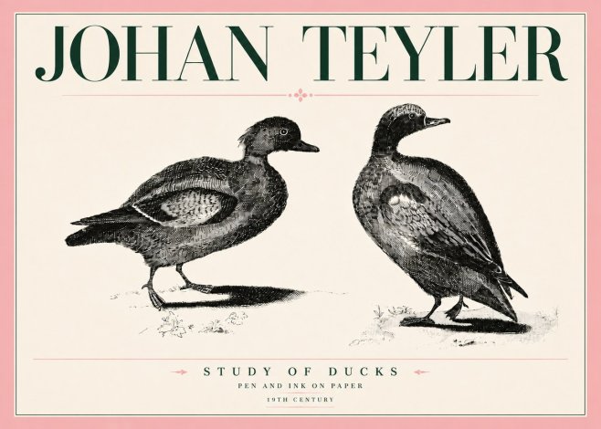 Johan Teyler Study of Ducks No5 - Póster