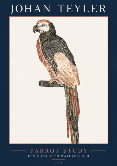 Johan Teyler Parrot Study II No5 - Póster
