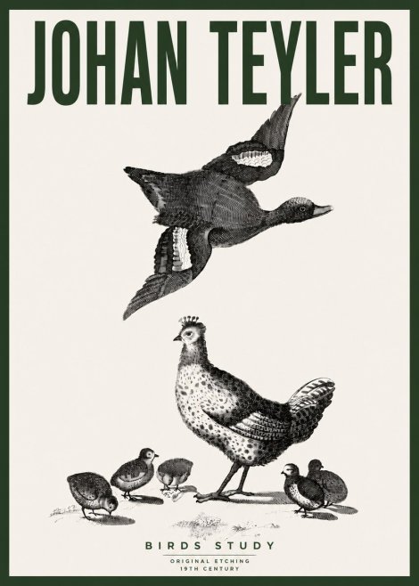 Johan Teyler Birds Study No4 - Póster