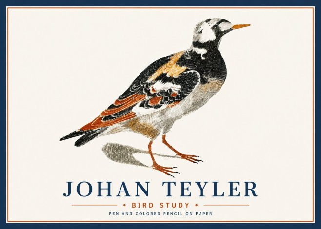Johan Teyler Bird Study IV No6 - Póster