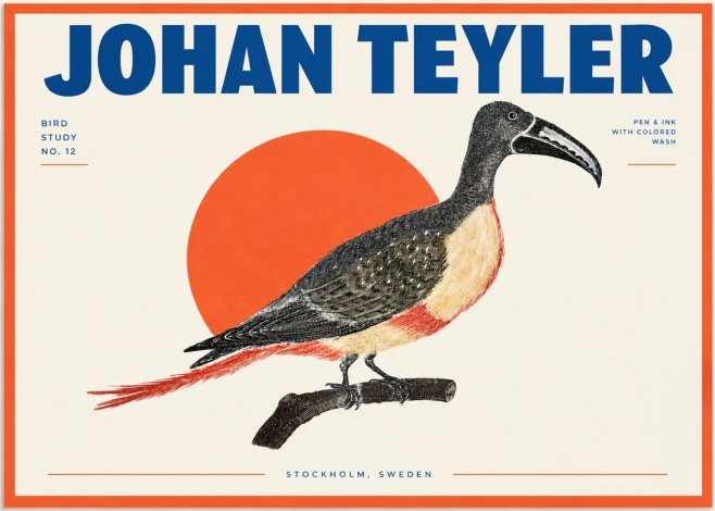 Johan Teyler Bird Study No. 12 - Original Drawing No2 - Póster