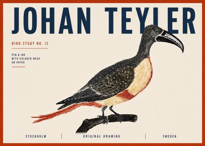 Johan Teyler Bird Study No. 12 - Original Drawing No6 - Póster