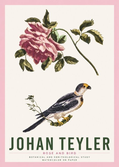 Johan Teyler Rose and Bird I No4 - Póster