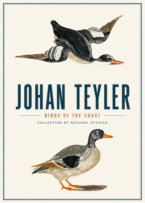 Johan Teyler Birds of the Coast No4 - Póster