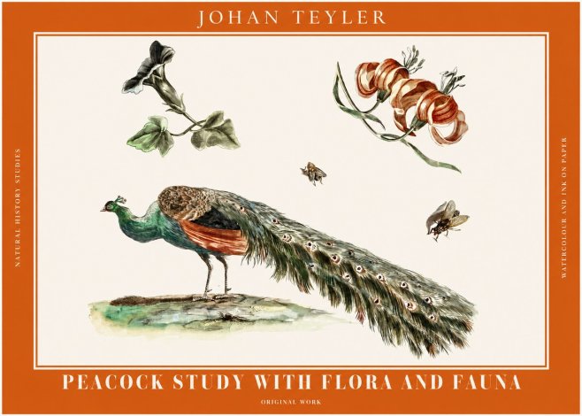 Johan Teyler Peacock Study with Flora and Fauna No2 - Póster