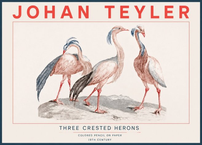 Johan Teyler Three Crested Herons No4 - Póster