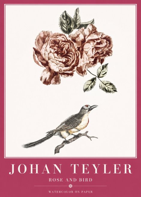 Johan Teyler Rose and Bird II No2 - Póster