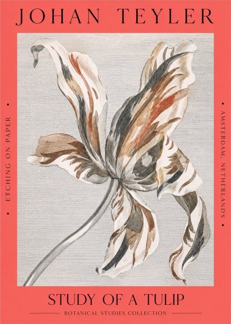 Johan Teyler Study of a Tulip No2 - Póster