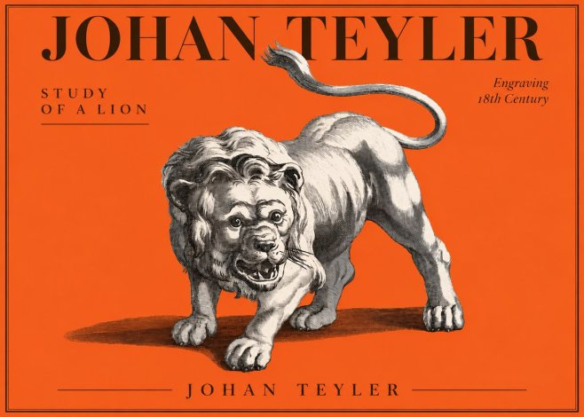 Johan Teyler Study of a Lion No3 - Póster