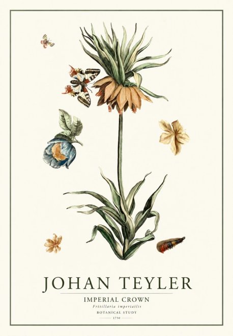 Johan Teyler Crown Imperial No2 - Póster
