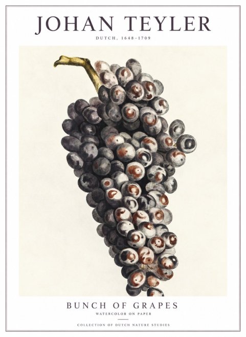 Johan Teyler Bunch of Grapes No1 - Póster