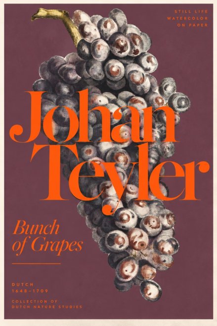 Johan Teyler Bunch of Grapes No3 - Póster