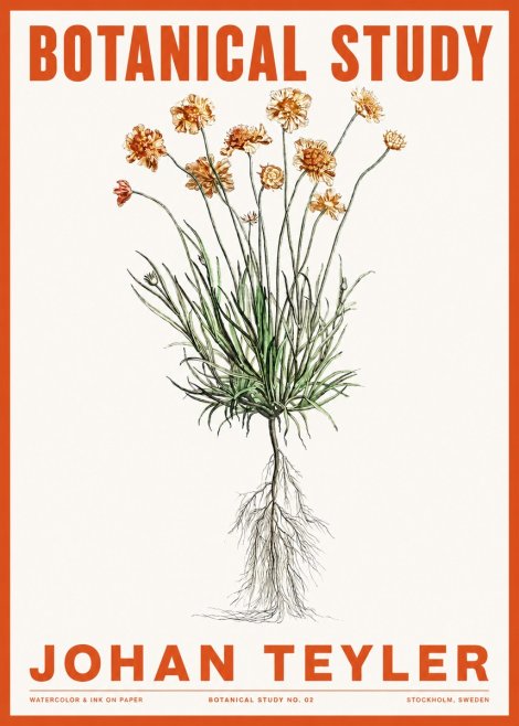 Johan Teyler Botanical Study No. 01 No2 - Póster