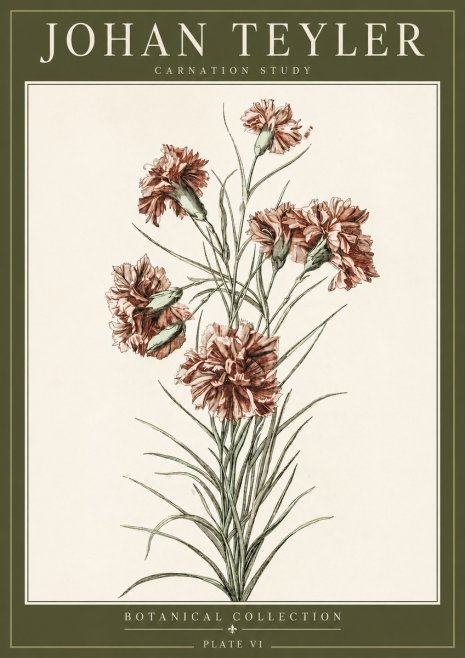 Johan Teyler Carnation Study No3 - Póster