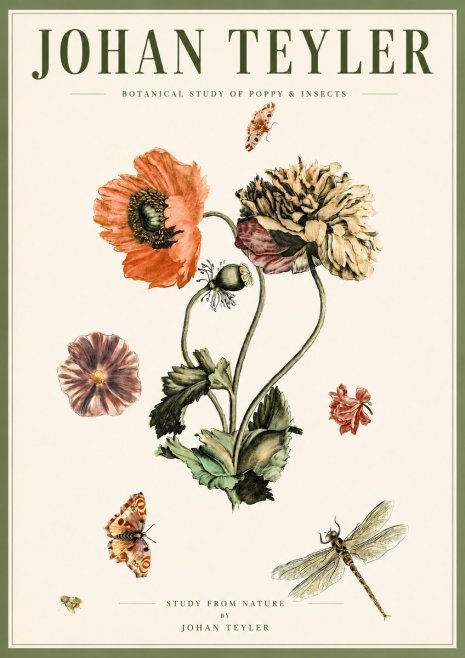 Johan Teyler Botanical Study of Poppy & Insects No5 - Póster