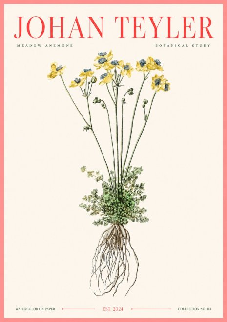 Johan Teyler Meadow Anemone No3 - Póster