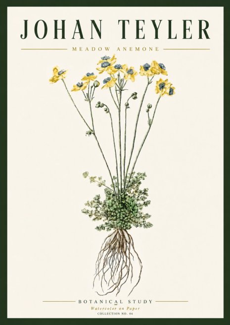 Johan Teyler Meadow Anemone No6 - Póster