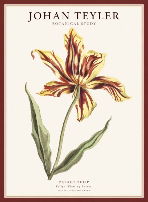 Johan Teyler Floral Study I No5 - Póster