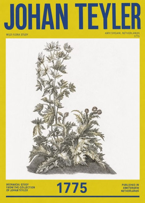 Johan Teyler Wild Flora Study No2 - Póster