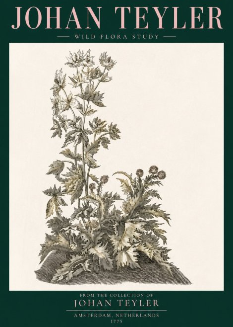 Johan Teyler Wild Flora Study No3 - Póster