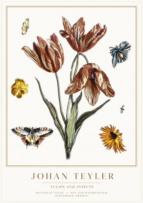 Johan Teyler Tulips and Insects No1 - Póster