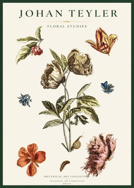 Johan Teyler Floral Studies No2 - Póster