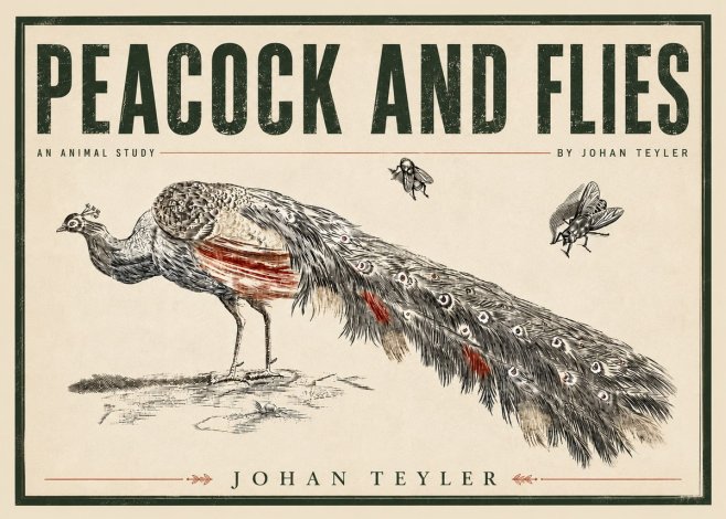Johan Teyler Peacock and Flies - Animal Study No5 - Póster