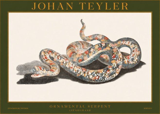 Johan Teyler Ornamental Serpent No1 - Póster