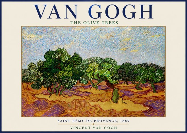 Van Gogh The Olive Trees No6 - Póster