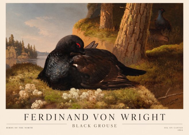 Ferdinand von Wright The Black Grouse No3 - Póster