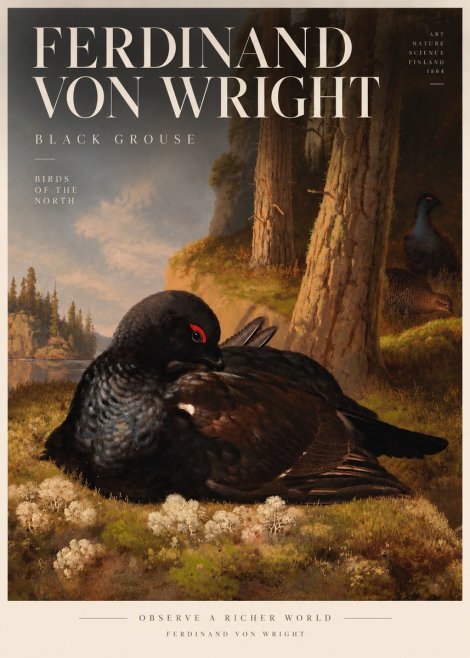 Ferdinand von Wright The Black Grouse No5 - Póster