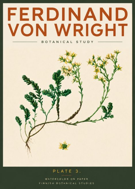 Ferdinand von Wright Botanical Study No2 - Póster