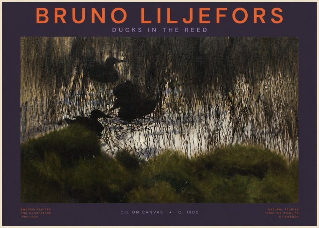 Bruno Liljefors Ducks in the Reed No2 - Póster