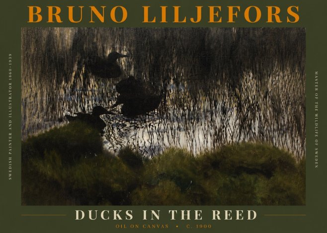 Bruno Liljefors Ducks in the Reed No3 - Póster