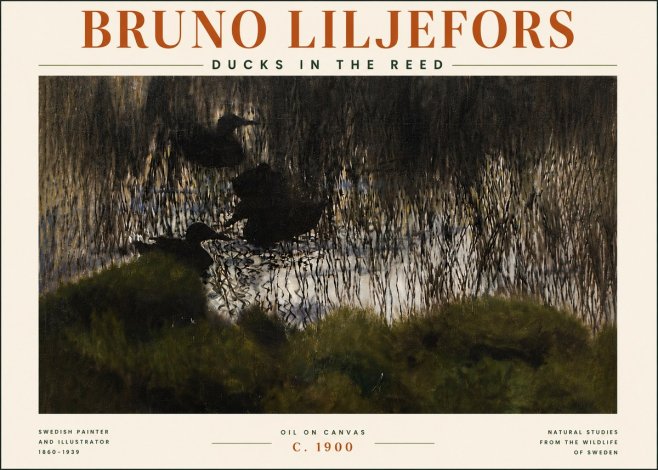 Bruno Liljefors Ducks in the Reed No5 - Póster