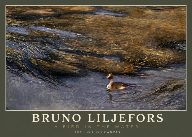 Bruno Liljefors A Bird in the Water No4 - Póster