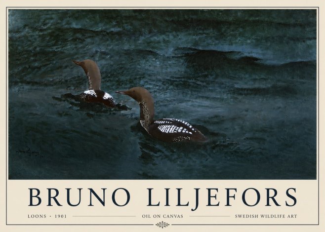 Bruno Liljefors Loons · 1901 No3 - Póster