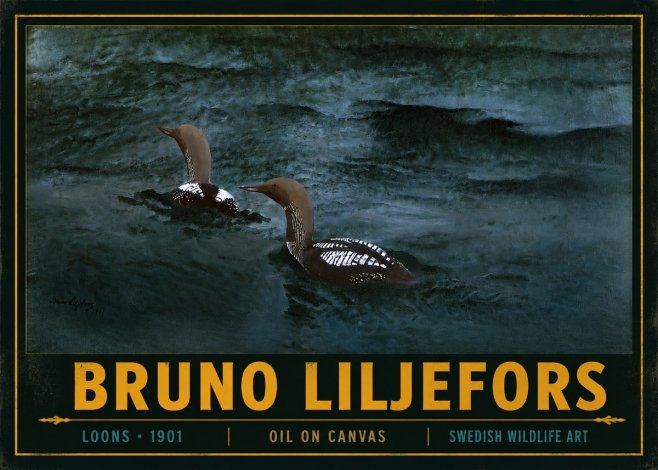 Bruno Liljefors Loons · 1901 No4 - Póster