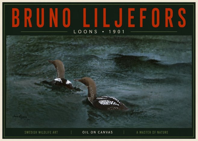 Bruno Liljefors Loons · 1901 No5 - Póster